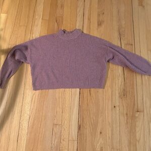 Hollister Cropped Sweater with High Neck